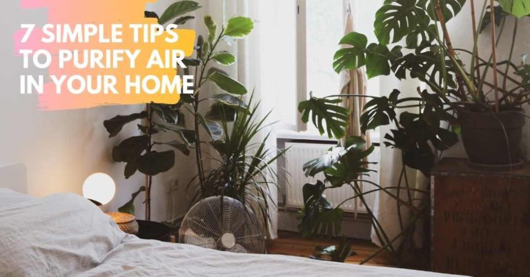 7 Simple Tips to Purify Air in Your Home