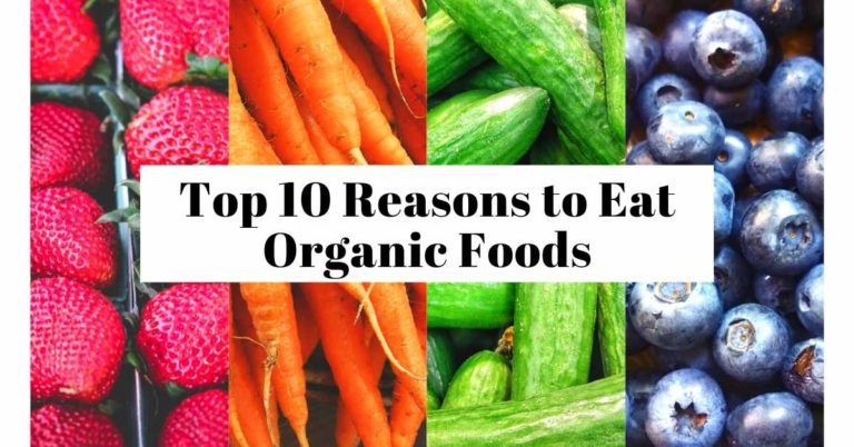Top 10 Reasons to Eat Organic Foods